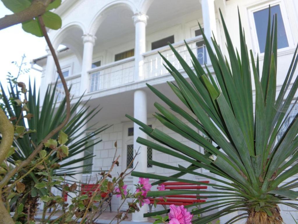 White Guest House Batumi Exterior photo